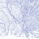 Illustration for article titled A map of all the rivers in the United States, and nothing else